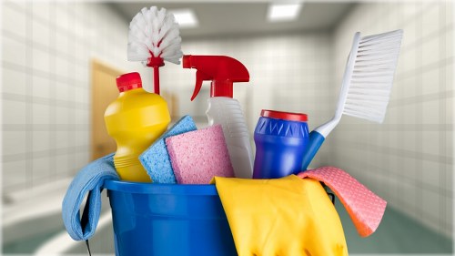 Professional treatment for pet smells in SW16 upholstery