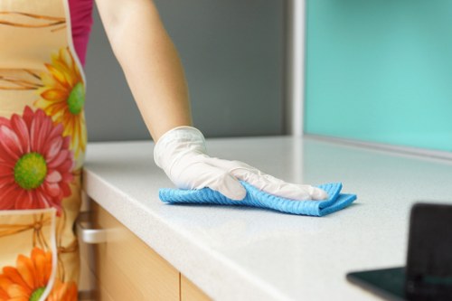 Regular cleaning service for a SW16 home interior