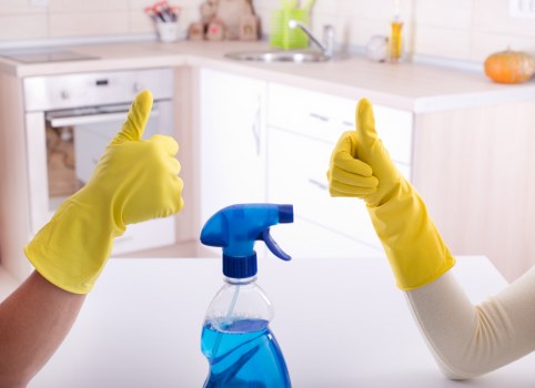 Professional cleaners in SW16 providing thorough home cleaning
