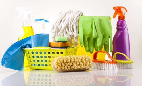 Cleaning service terms and conditions introduction