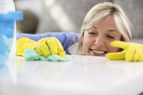 Upholstery deep cleaning equipment used on a fabric sofa