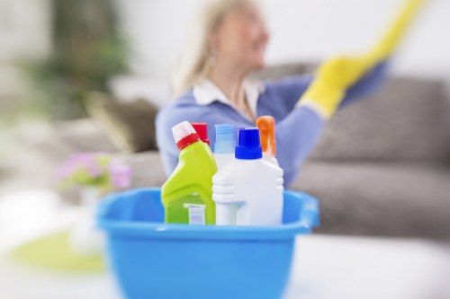 Deep cleaning for pet accidents in a SW16 home