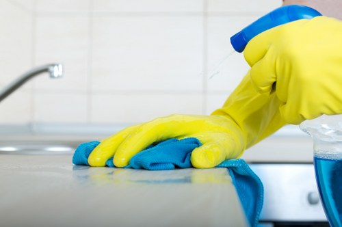 Kitchen and bathroom domestic cleaning tasks in a SW16 home